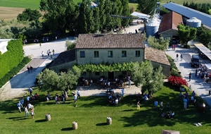 Azienda Agraria Guerrieri - Vini D.O.C. e I.G.T. delle Marche